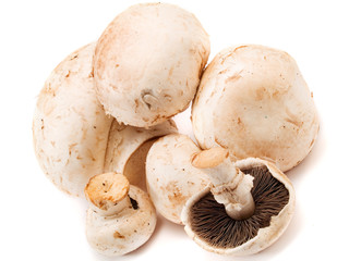 Mushrooms