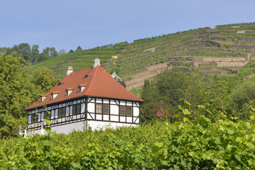 Hoflößnitz mit dem Weinberg Goldener Wagen 