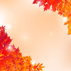 Naklejka na ściany i meble illustration with vector autumn leaves in grunge style