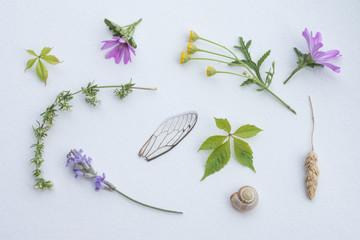 Sweet color, pastel tone, wild flowers with paper texture for the soft background