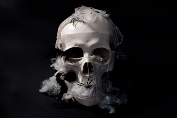 Skull With Cobwebs 