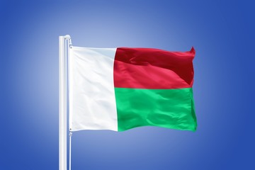 Fototapeta na wymiar Flag of Madagascar flying against a blue sky