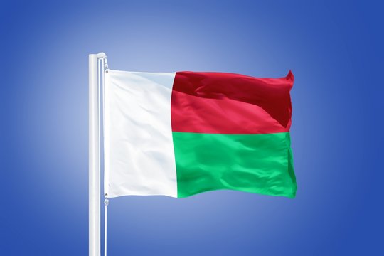Flag of Madagascar flying against a blue sky