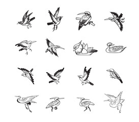 bird and duck chinese style vector