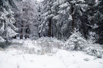 Winterzeit Wanderzeit