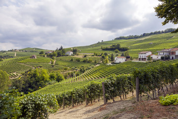 Fototapeta na wymiar Langhe, Barolo vineyards summer panorama. Color image