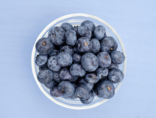 Glass Bowl with Blueberry