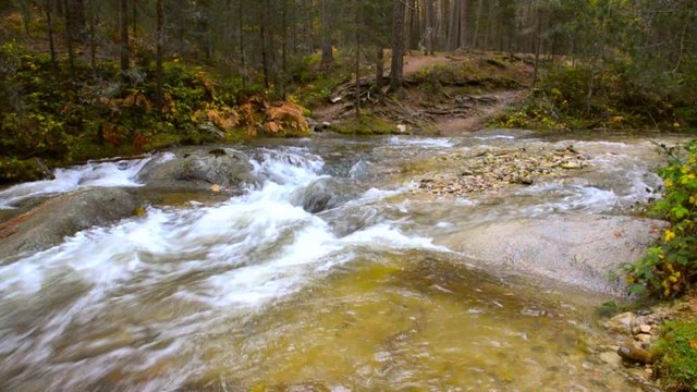 Water flowing under an ancient wood bridge in river Eresma at Boca del Asno natural park on a rainy day in Segovia, Spain. 