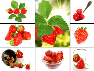 ripe strawberries