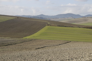 Colline toscane