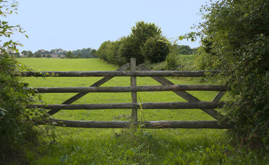 Altes Holzgatter, Feldmark Schleswig-Holstein © bidaya