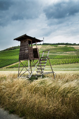 Hochsitz im Feld