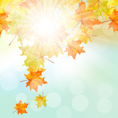 Obraz na płótnie Canvas Autumn Frame