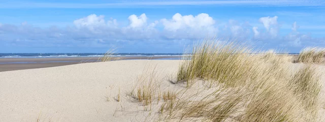 Selbstklebende Fototapeten Dünenpanorama  © S. Engels