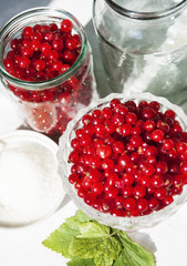 Berries on the table