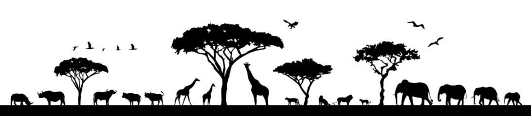 Fototapeta na wymiar Tiere in Afrika
