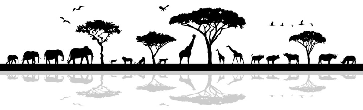 Tiere in Afrika