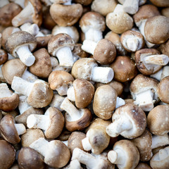 Organic Brown Baby Bella Mushrooms