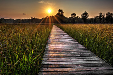 Fototapeta premium Prairie Boardwalk Sunset