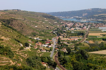 Fototapeta na wymiar Vin, Vigne, Vignoble, Vallée Du Rhône, Côtes Du Rhône, France