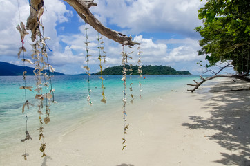 Sea Bright, beautiful at tropical island