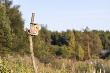 Man made birdhouse at sunset