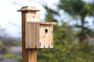 DIY wood birdhouse