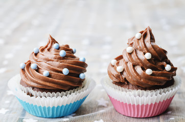 chocolate cupcakes with colorful sprinkles
