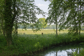 Dutch landscape with water, trees and meadows