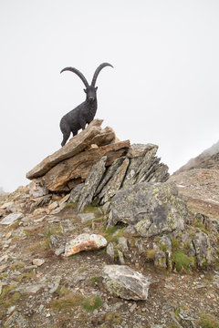 statua stambecco alagna