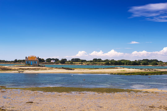 saint cado