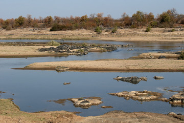 Kruger National Park