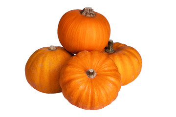 Pumpkins isolated on the white