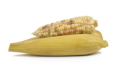 waxy corn on white background