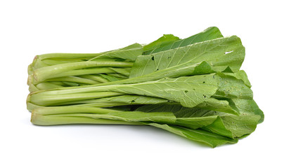 Chinese mustard green on white background (Nontoxic)