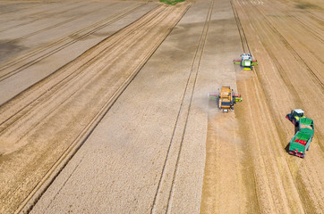Combines and tractors working on the wheat field