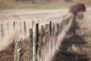 Rural Fence