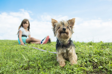 portrait of girl keeping pretty dog outdoor