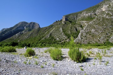 Beautiful Mexican Landscapes