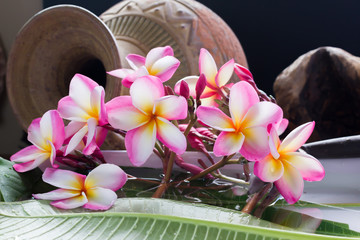 beautiful charming aroma pink flower plumeria made  more classic with vintage and boutique look for spa decoration 