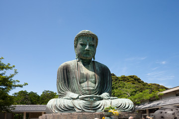 Fototapeta premium 鎌倉大仏