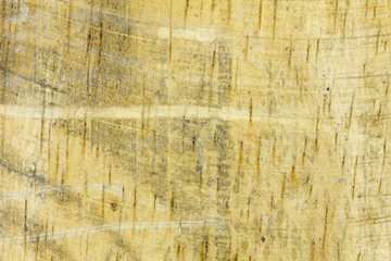 Wood texture