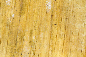 Wood texture
