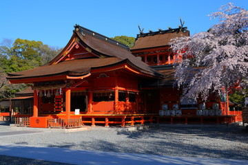 静岡　春の富士山本宮浅間大社
