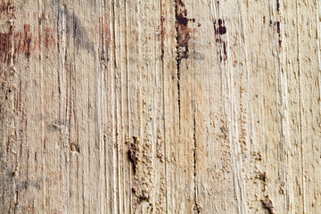 Wood texture
