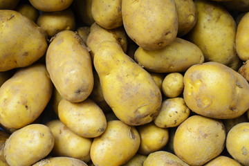Raw potatoes at the market