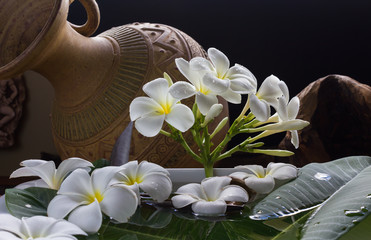 made more classic and boutique spa decoration by beautiful fragrant plumeria flower picture 