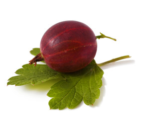 Gooseberries isolated on a white background 