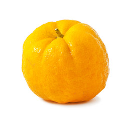 Orange fruit a white background