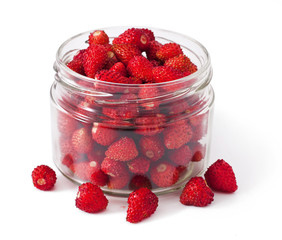 Ripe Wild strawberry in a bank on a white background